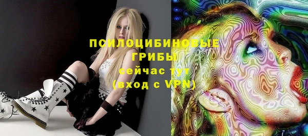 трава Богданович