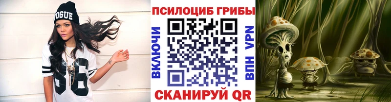 Псилоцибиновые грибы Cubensis  Калуга 